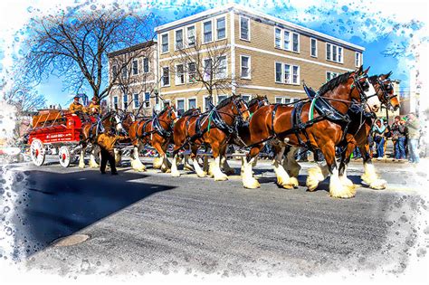 hallamore clydesdales lakeville ma.